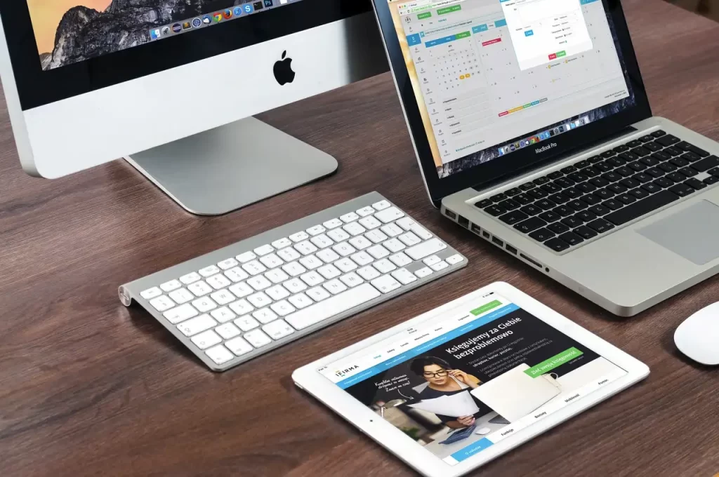 desarrollo de sistemas de gestión web