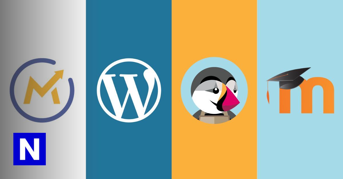 Software platforms for Web Solutions: Sites, e-commerce, e-learning and ...